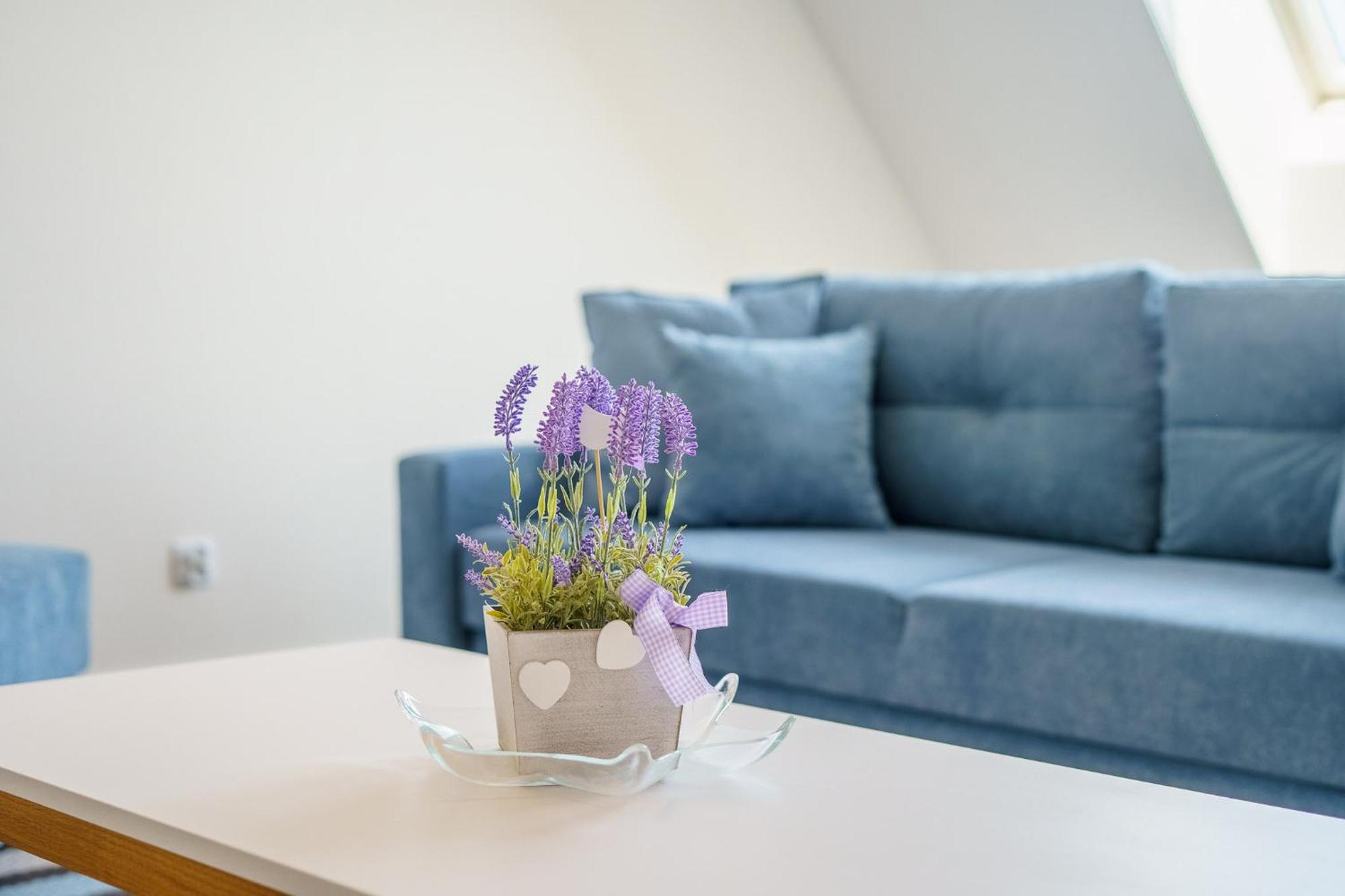 Bel Mare Miedzyzdroje Apartment With Balcony By Noclegi Renters Εξωτερικό φωτογραφία